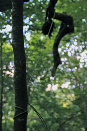 Tying off the food bag